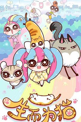 江门照明网站seo优化